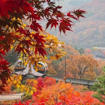 화담숲 예약