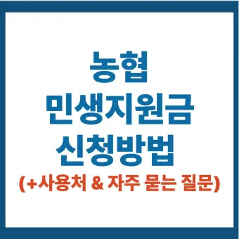 농협 민생회복지원금 잔액조회 방법 완벽 정리 사용처 확인방법_4