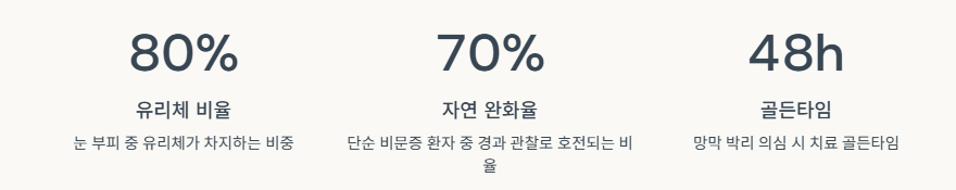 비문증 치료 방법