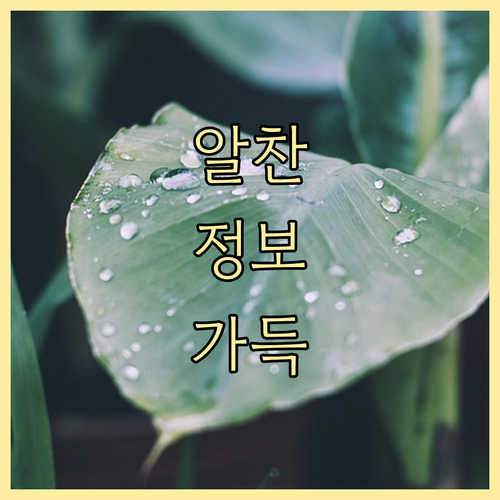 ESTA 신청 21달러, 언제부터? ..