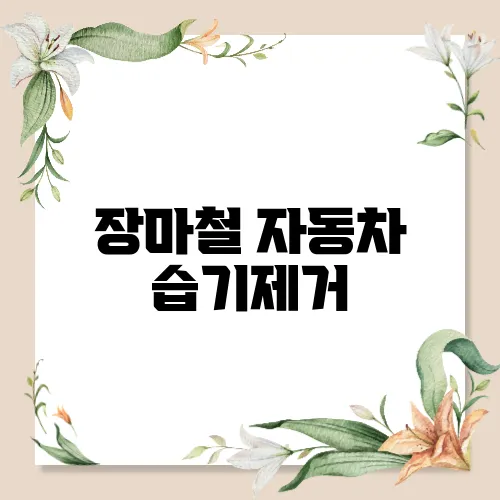 장마철 자동차 습기제거