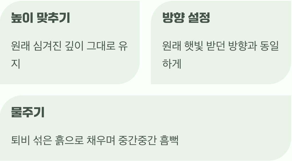 새로운 집에 자리 잡기, 가장 중요한 마무리