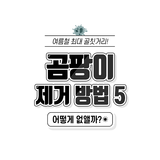 옷, 거실, 방, 화장실, 주방, 욕실, 에어컨 등 곰팡이 제거하는 5가지 방법