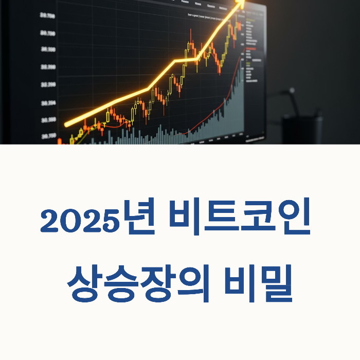 비트코인 시세 전망