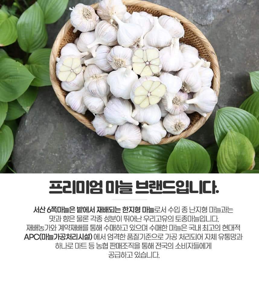 제 15회 서산6쪽마늘축제 기본일정과 프로그램 정리 나태주 한여름 한강 출연(feat문화누리카드 사용가능 및 방법 정리)