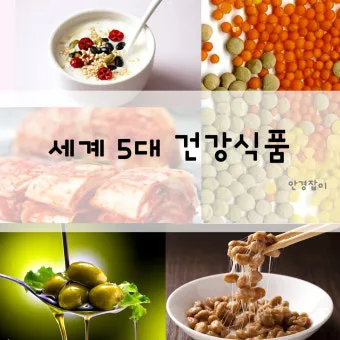 세계 5대 건강식품 종류 효능 섭취 방법 총정리_14