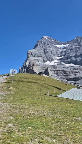 스위스 융프라우 37번 하이킹 코스 후기 아이거글래처에서 클라이네샤이덱까지 걷기로 기록_25