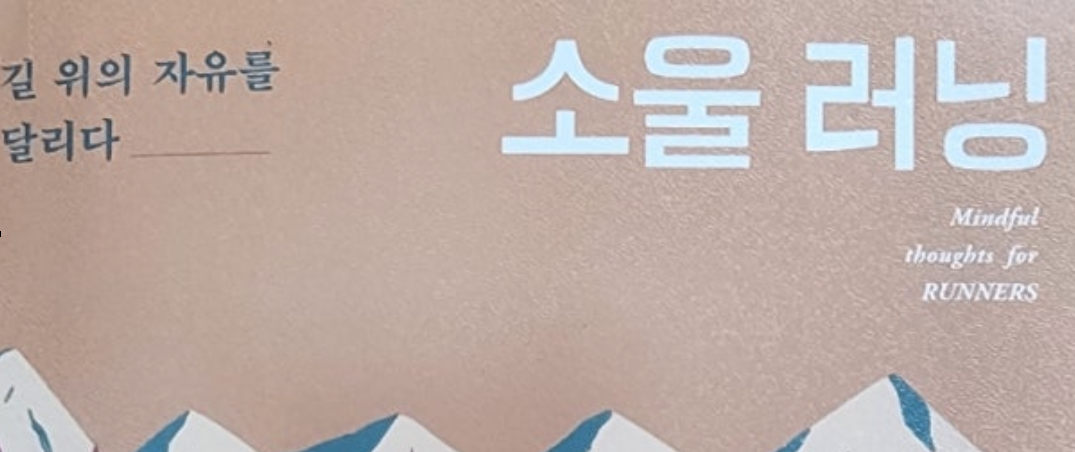 소울러닝