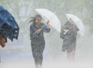 비 맞는 꿈 비 오는 꿈 폭우 홍수 비옷 비바람