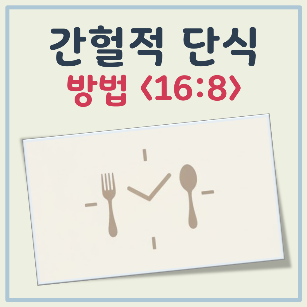 간헐적 단식 방법 16:8 대표 이미지