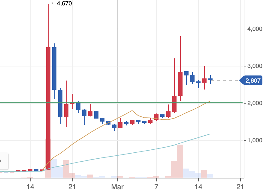 페이코인-가격-변동-그래프