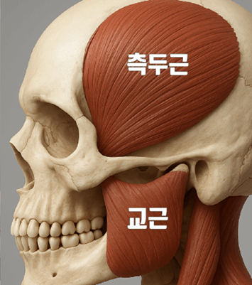 이빨 가는거 고치는법