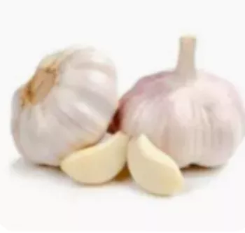 마늘1