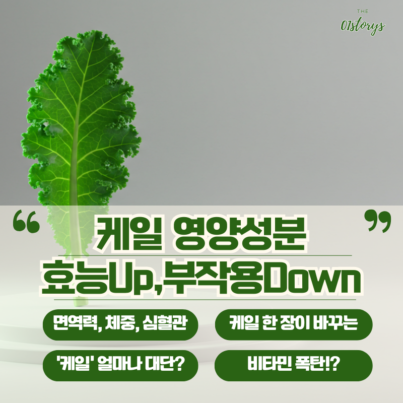 케일-영양성분-효능Up-부작용Down