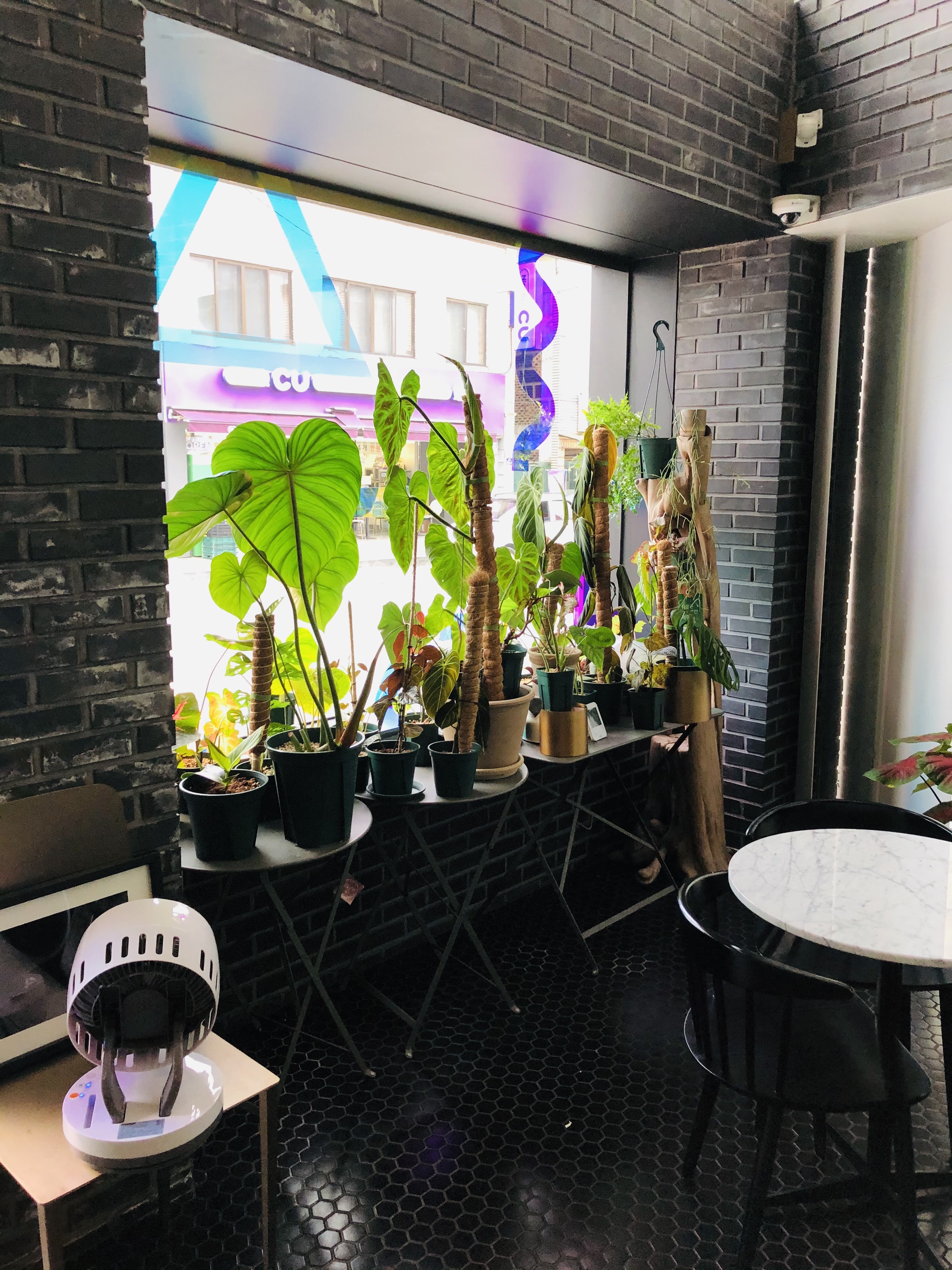 도프커피