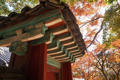 경주-불국사-사진