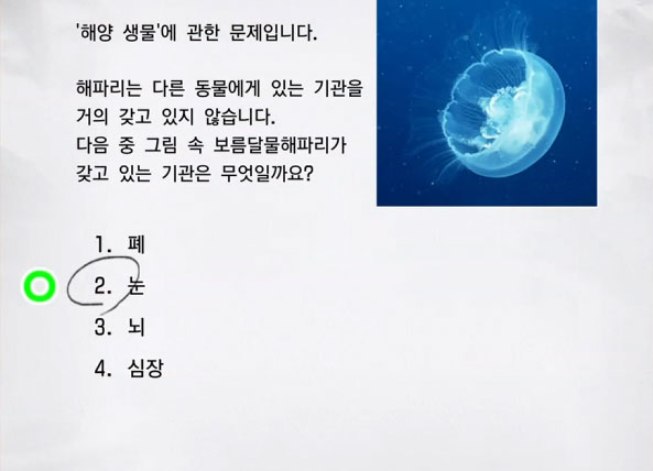 해양 생물 9 이미지