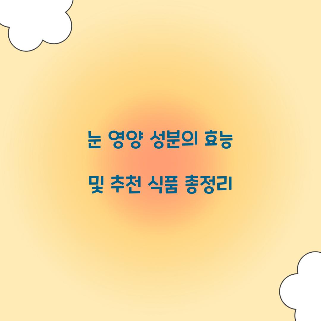 눈 영양 성분