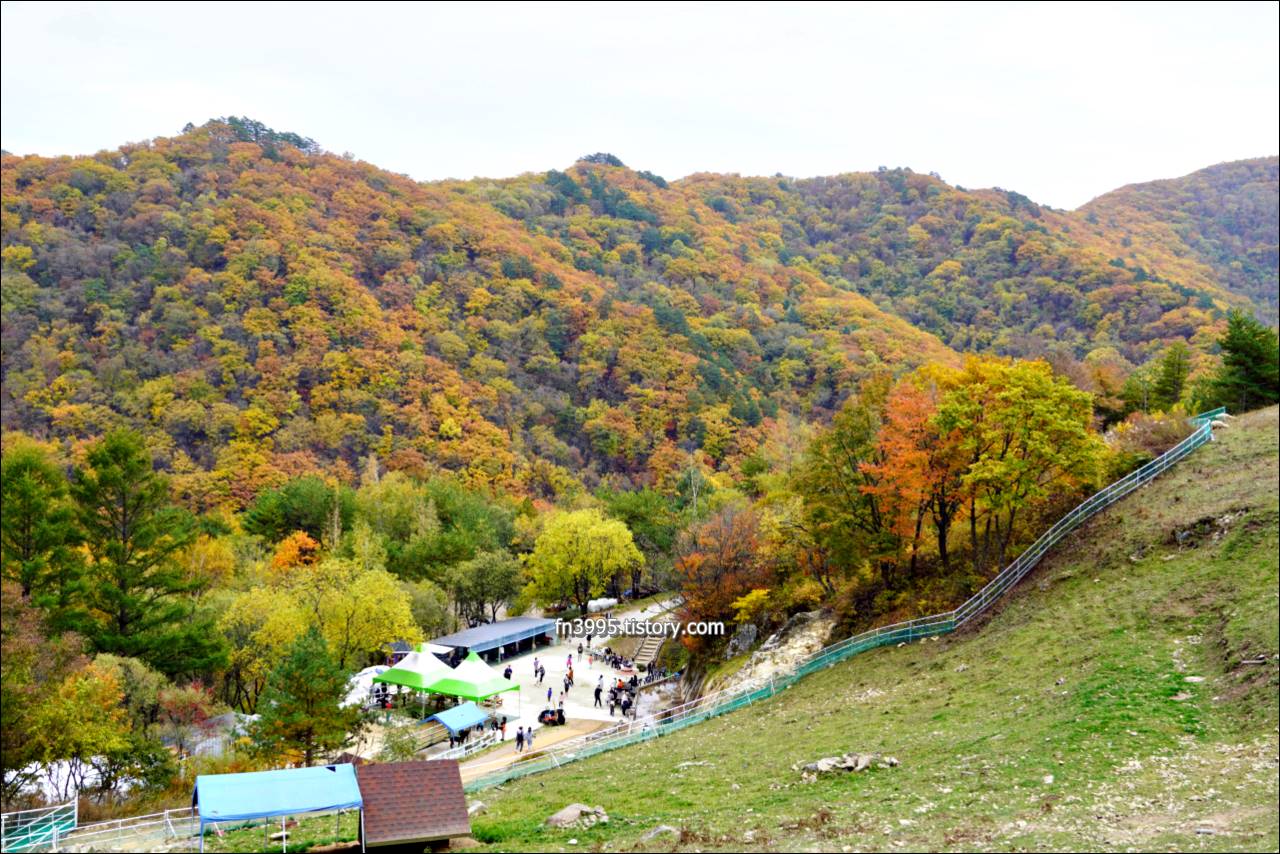 모나 용평 리조트