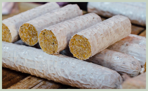 비건식 템페 효능, 영양 성분