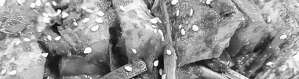 오이소박이 여름 반찬