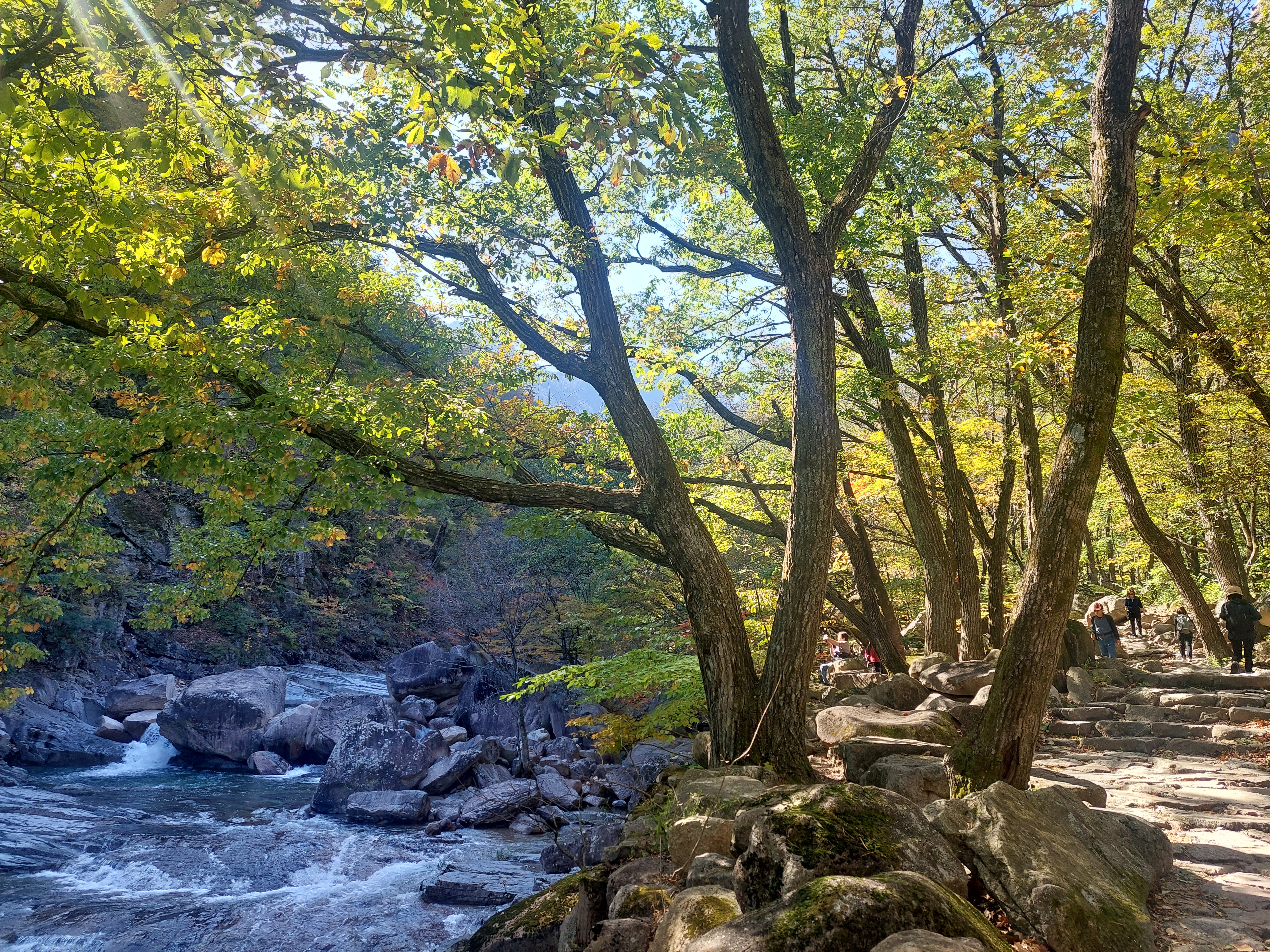 설악산