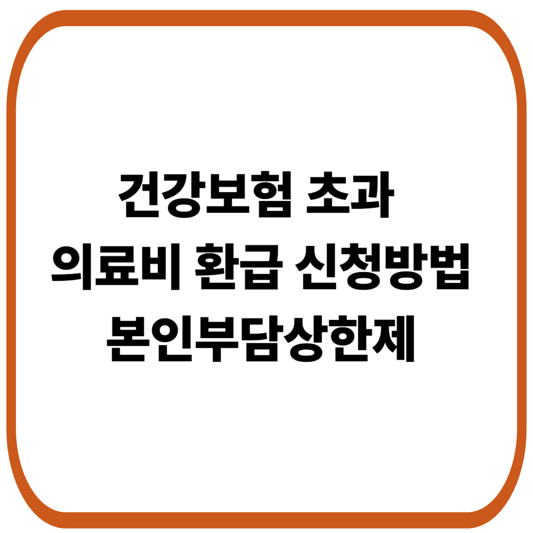 건강보험 초과 의료비 환급 조회 및 신청방법