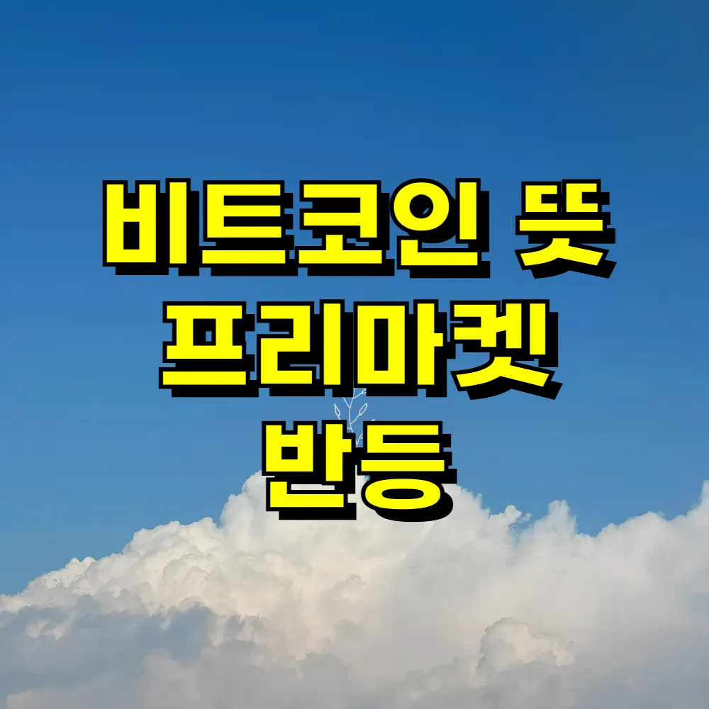 비트코인 뜻 프리마켓 반등