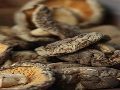 표고버섯 효능 사진39