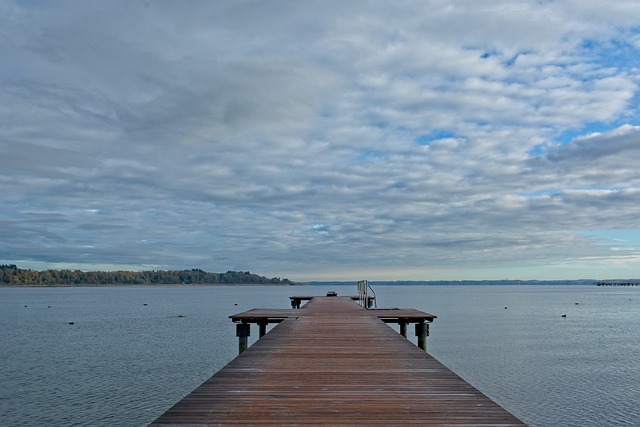 애견동반 해수욕장1