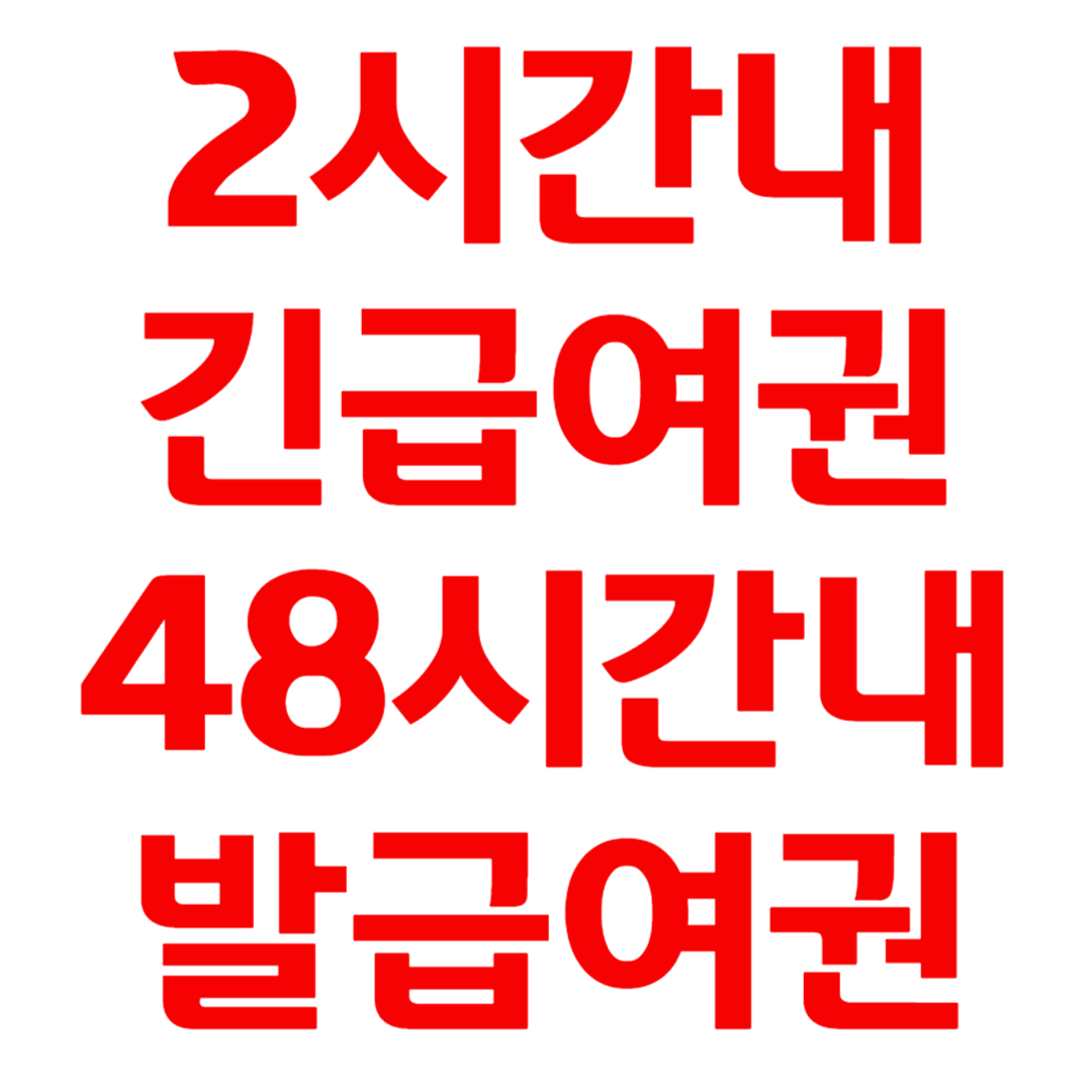 긴급여권 발급 기간 비용 발급처 48시간내 발급여권