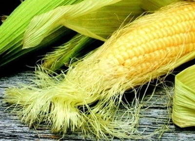 옥수수수염 옥수수수염차 효능 부작용 주의사항