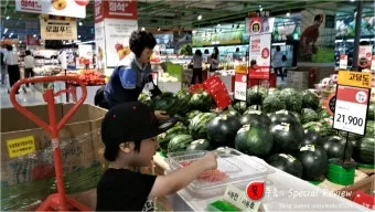 인천 수박껍질 음식물 일반쓰레기 과태료 피하는 법_23