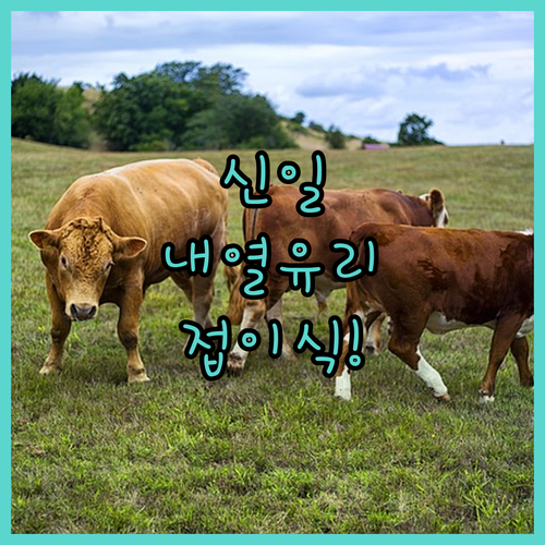 신일 내열유리 전기포트 및 휴대용 접..