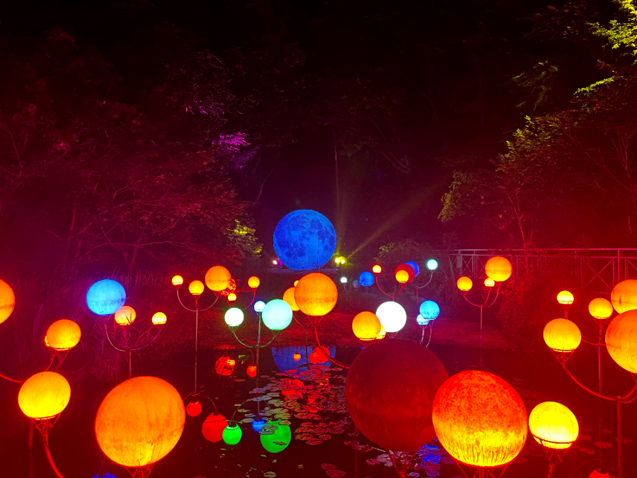 달빛의 안단테2