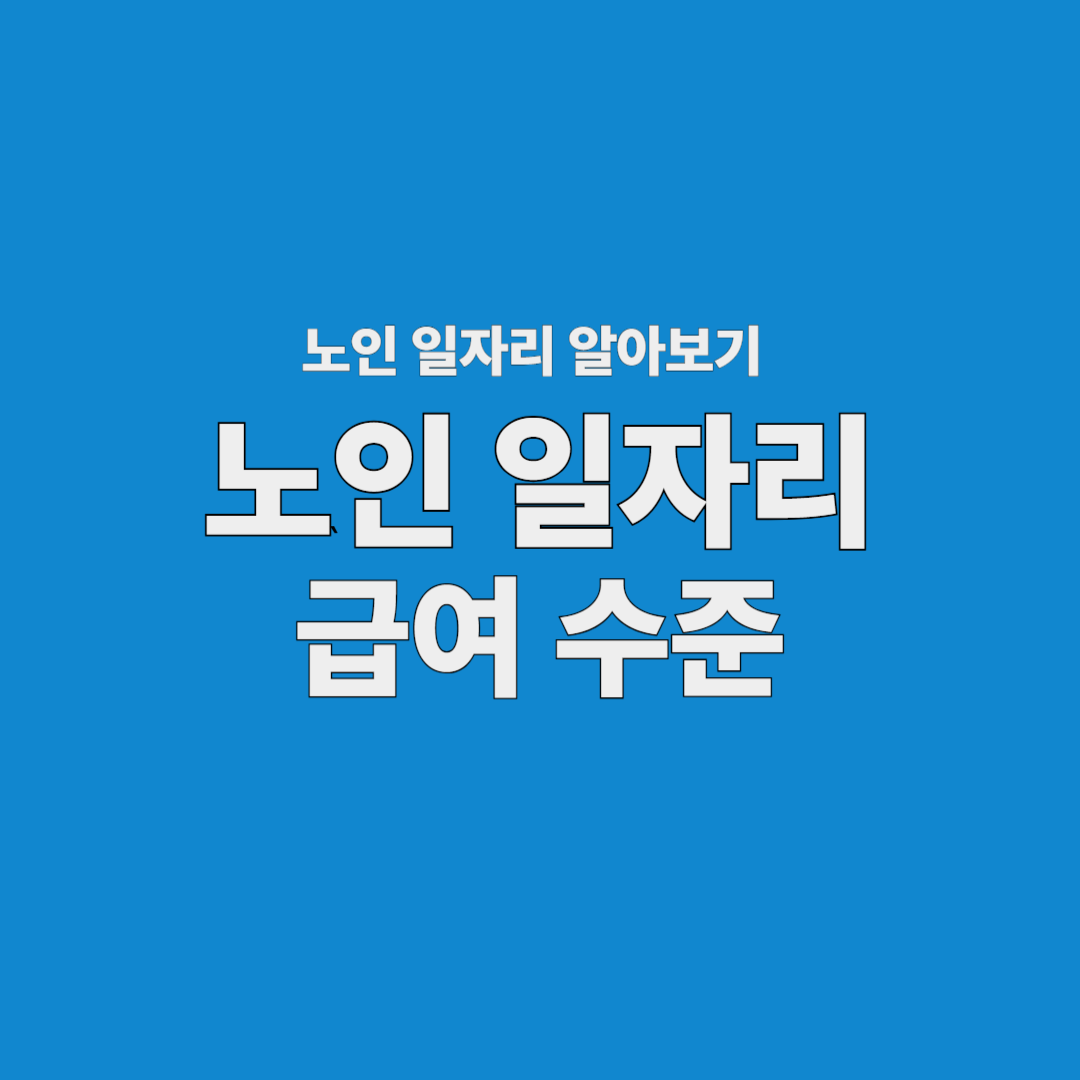 2025년 노인 일자리 유형별 급여 공개