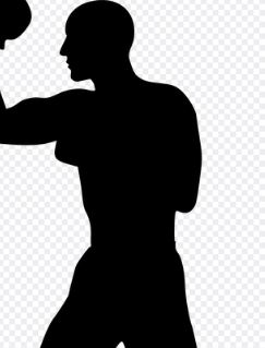 UFC 체급표 체급 알아보기