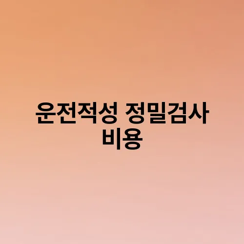 운전적성 정밀검사 비용