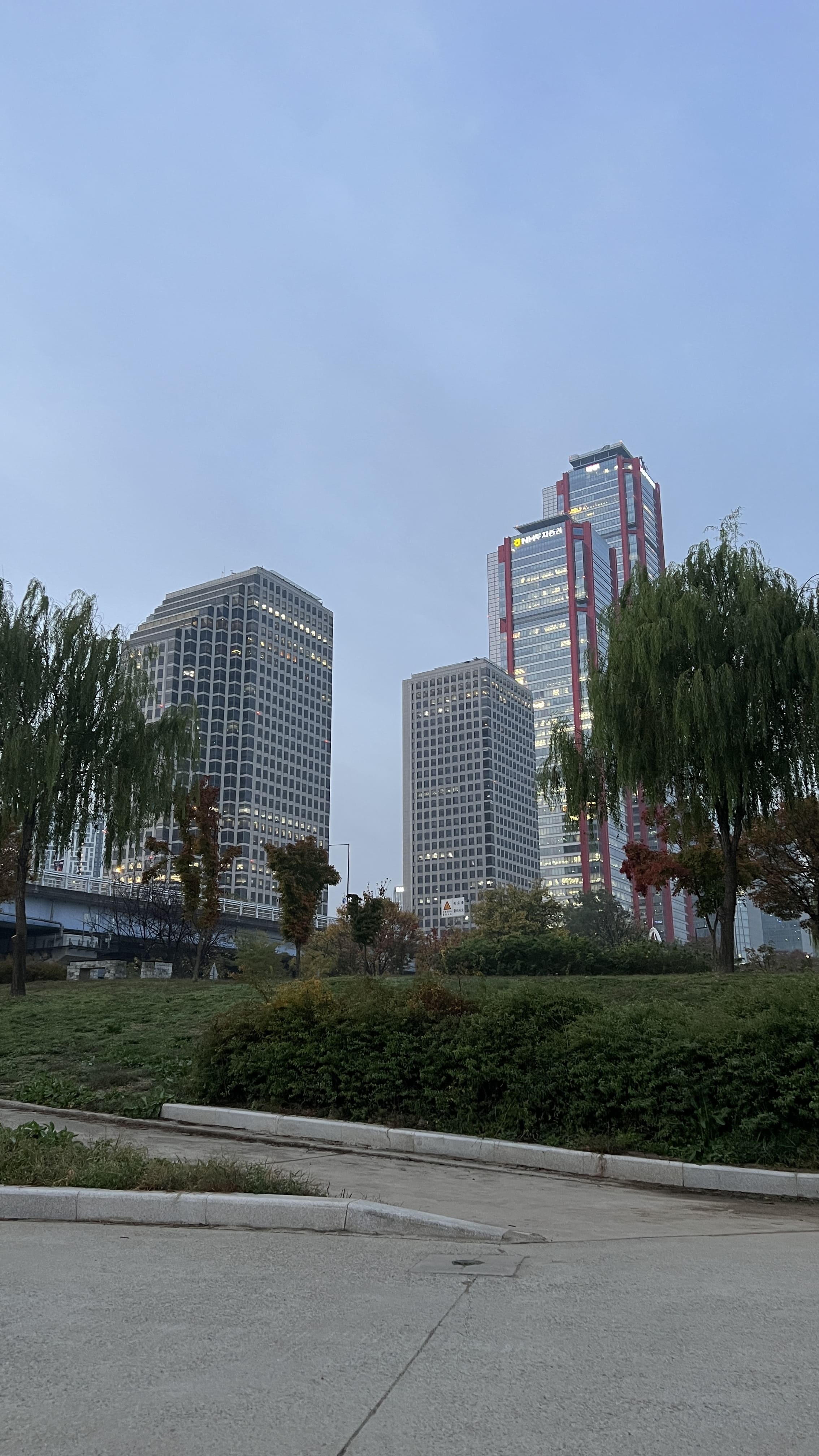 여의도 한강공원