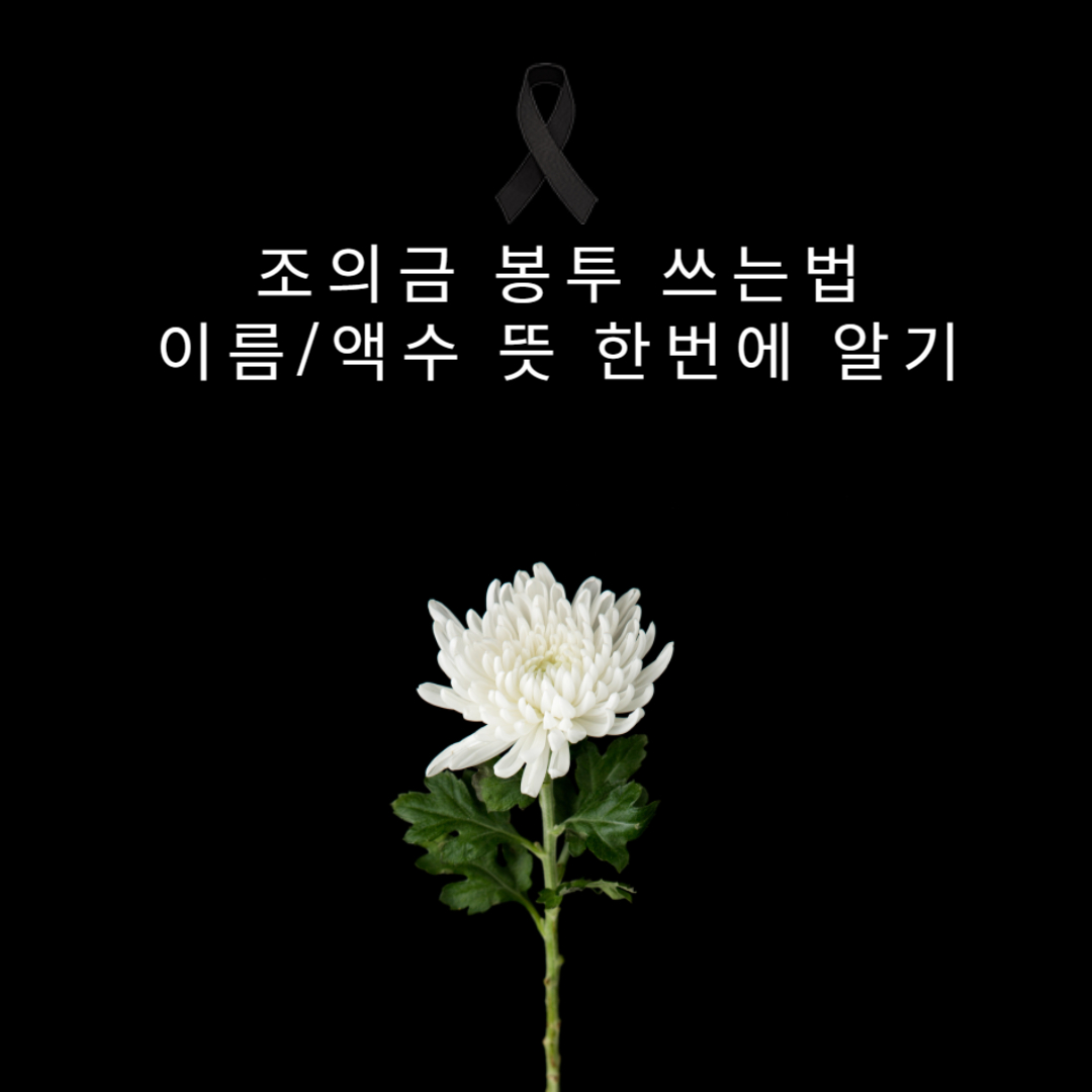 조의금 봉투