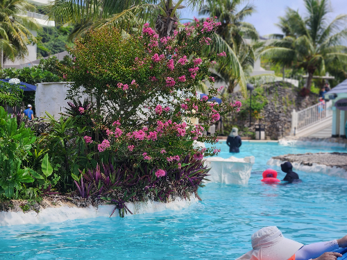 수영 초보가 흔히 하는 실수 TOP 3