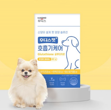 시츄 강아지 키우는 방법과 주의사항, 직접 경험으로 알려드려요 (영양제 싸게 사는 방법 공개)