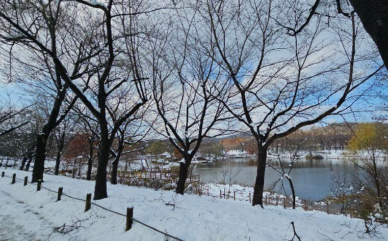 디지털 관광주민증