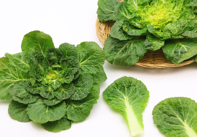 계절별 면역력 높이는 식품과 생활습관 : 봄동