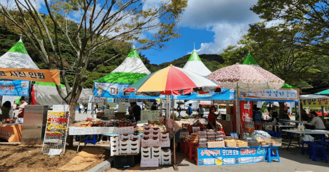 영광불갑산 상사화 축제