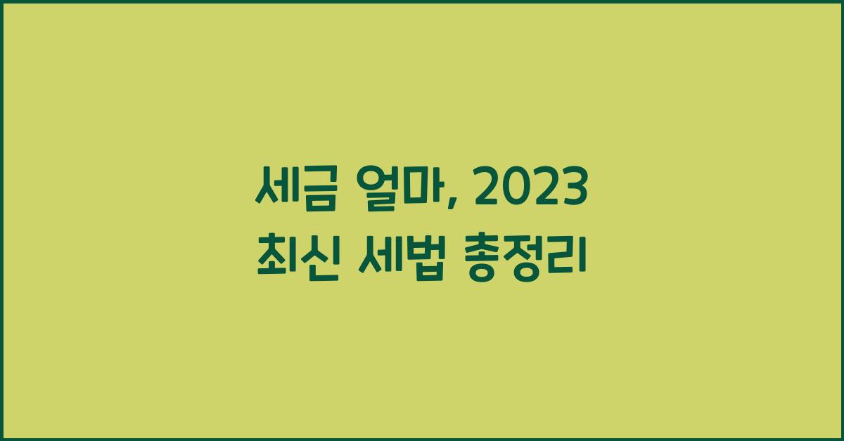 세금 얼마
