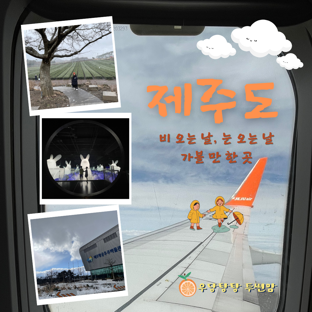 제주도 비 오는 날 가 볼만 한 곳