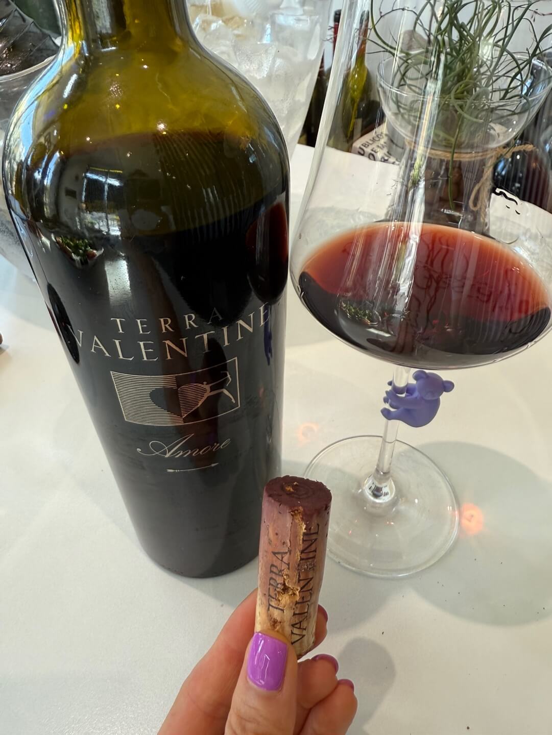[USA] Terra Valentine Amore 2006, Spring Mountain District, Napa Valley｜테라 발렌타인 아모레, 스프링 마운틴, 나파밸리