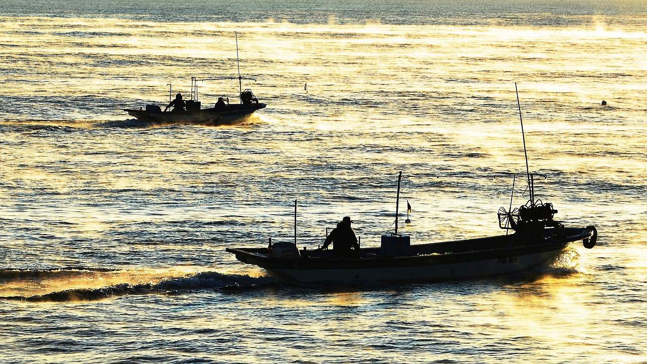 가진항에서 만난 평화로운 풍경 관련 사진