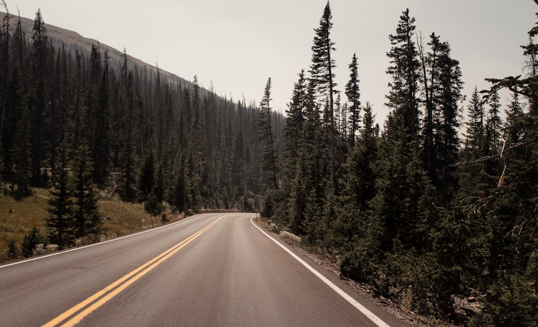 Road